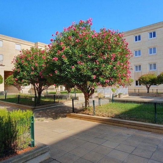  DUNIACH IMMOBILIER : Apartment | MONTPELLIER (34000) | 71 m2 | 237 000 € 