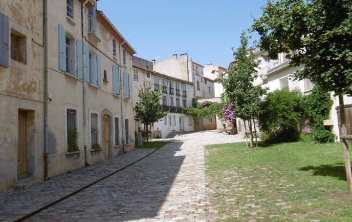 Maison   ARLES-SUR-TECH  271 m2 294 000 € 